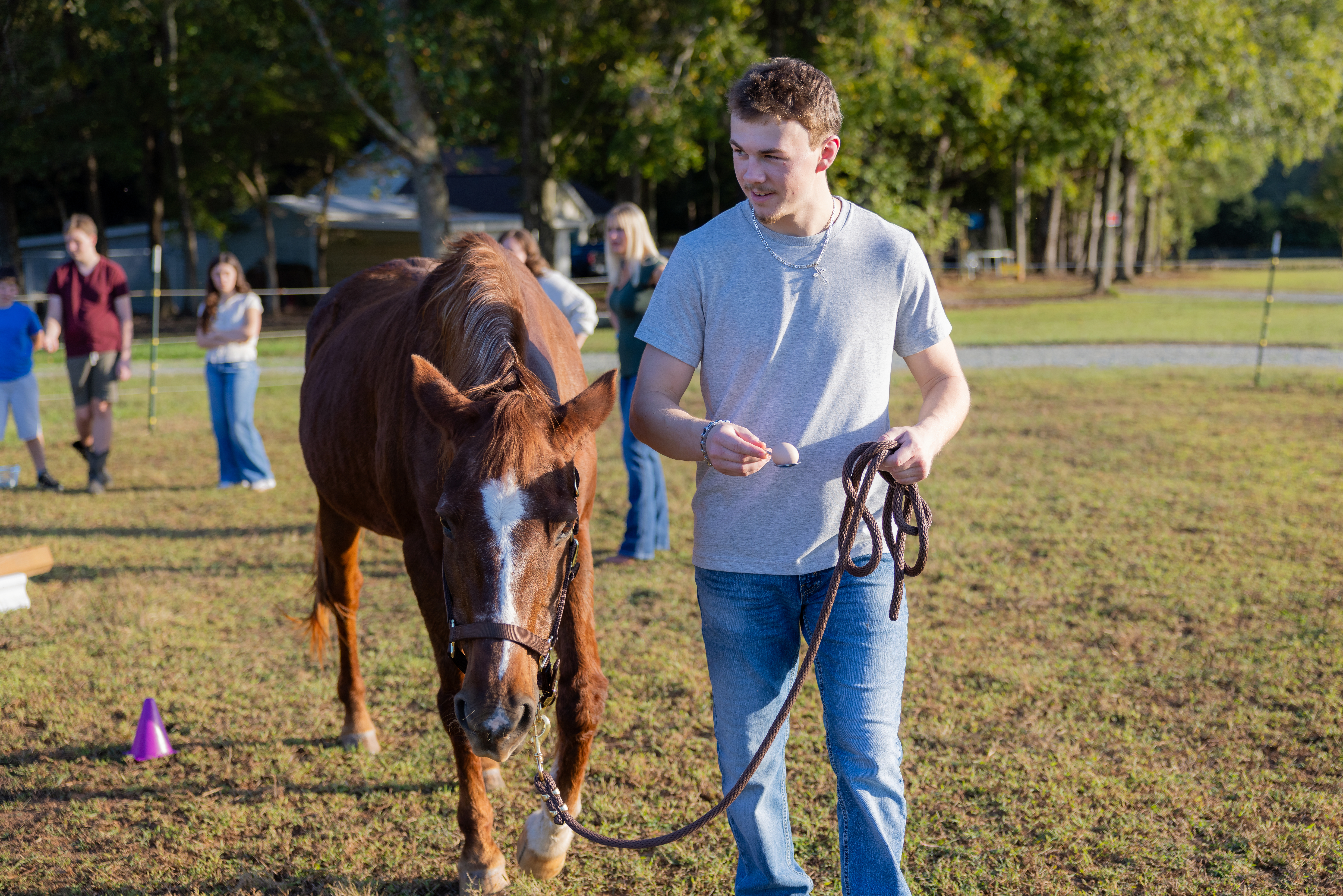 equine-assisted learning team building activity