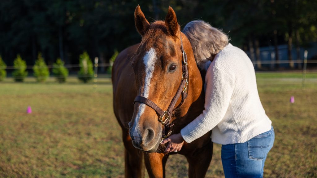 equine-assisted learning heart-to-heart breathing mindfulness